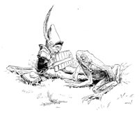 691783.jpg