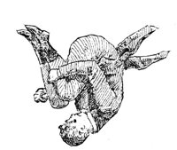 691765.jpg