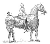 691761.jpg