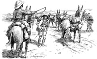 268063.jpg
