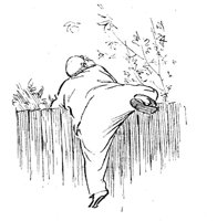 267923.jpg