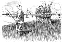 267703.jpg
