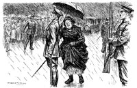 257546.jpg
