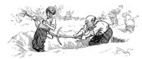 257502.jpg