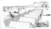 257304.jpg