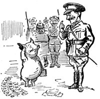 182404.jpg