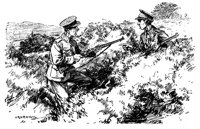 181998.jpg