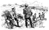 181994.jpg