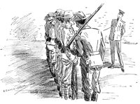 181982.jpg