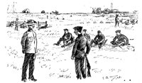 181976.jpg