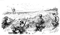 181974.jpg