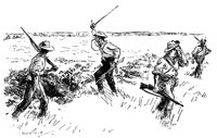 181970.jpg