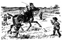 181964.jpg