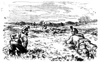 181962.jpg