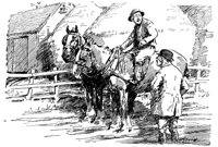 181934.jpg
