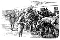 181830.jpg