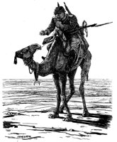 181810.jpg