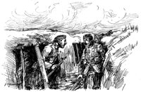 181704.jpg