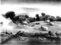 155594.jpg