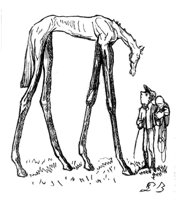 76186.jpg