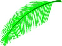 PALMBRCH.WMF
