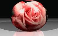 ROSE1.GIF