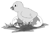 SUMMER18.PCX