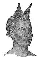 27312.jpg