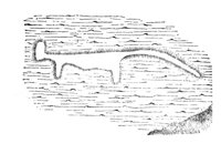 235404.jpg