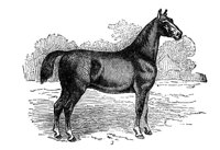 235352.jpg
