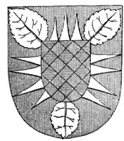 235214.jpg