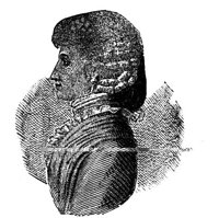 235204.jpg