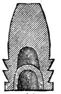 235150.jpg