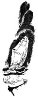 104546.jpg
