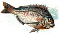 780301.jpg