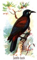 780283.jpg