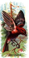 780269.jpg