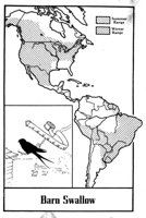 779873.jpg