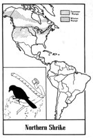 779867.jpg