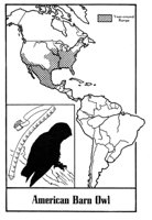 779859.jpg