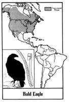 779847.jpg