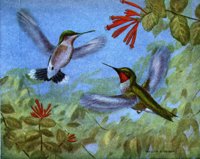 779841.jpg