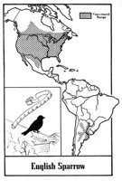 779835.jpg