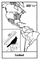 779823.jpg
