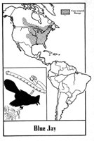 779819.jpg