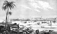 773709.jpg