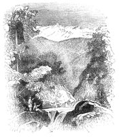 773647.jpg