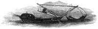 773229.jpg