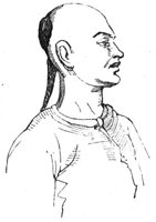 773227.jpg