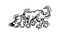 740915.jpg